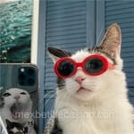 Avatar de Helena Tovar